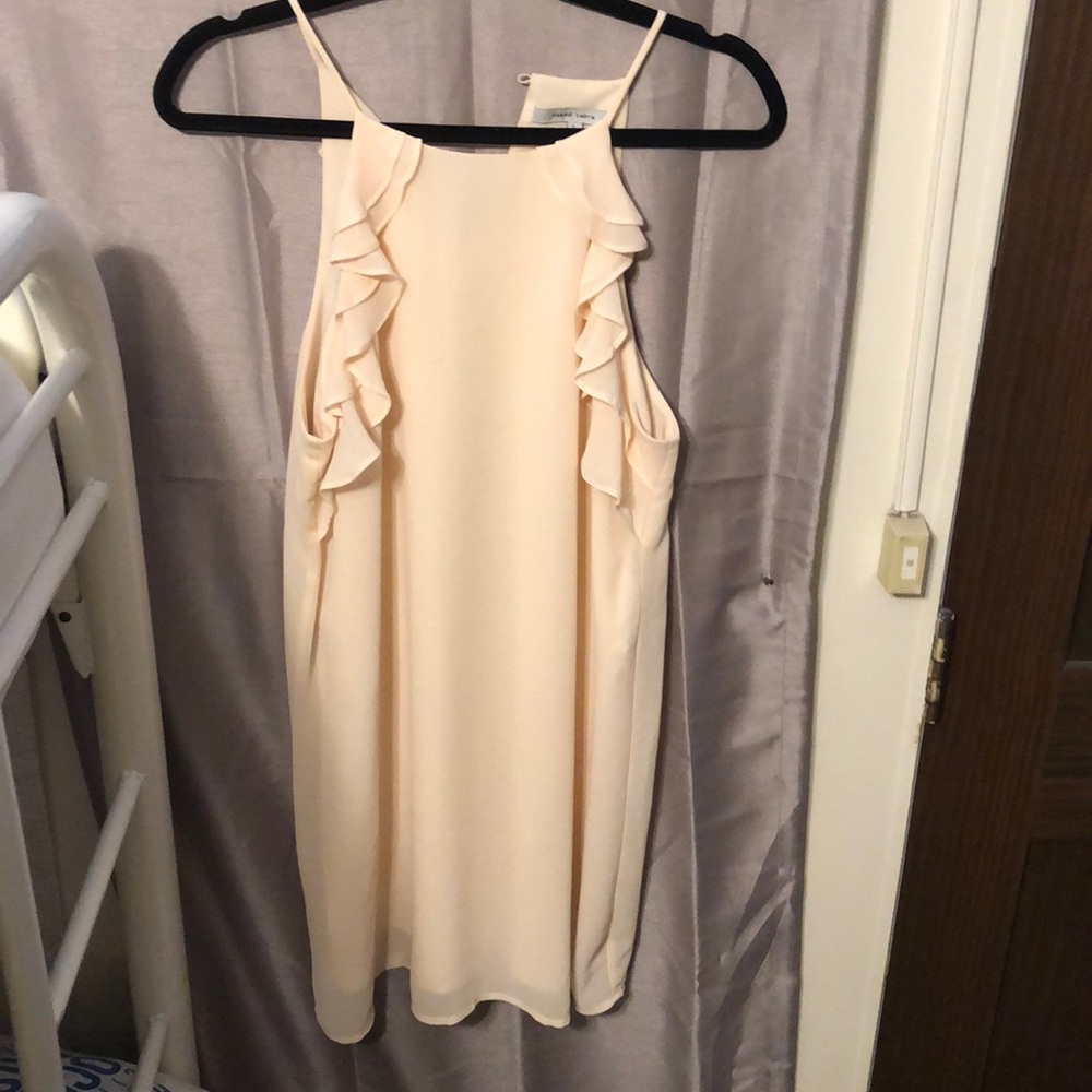Naked Zebra Dress